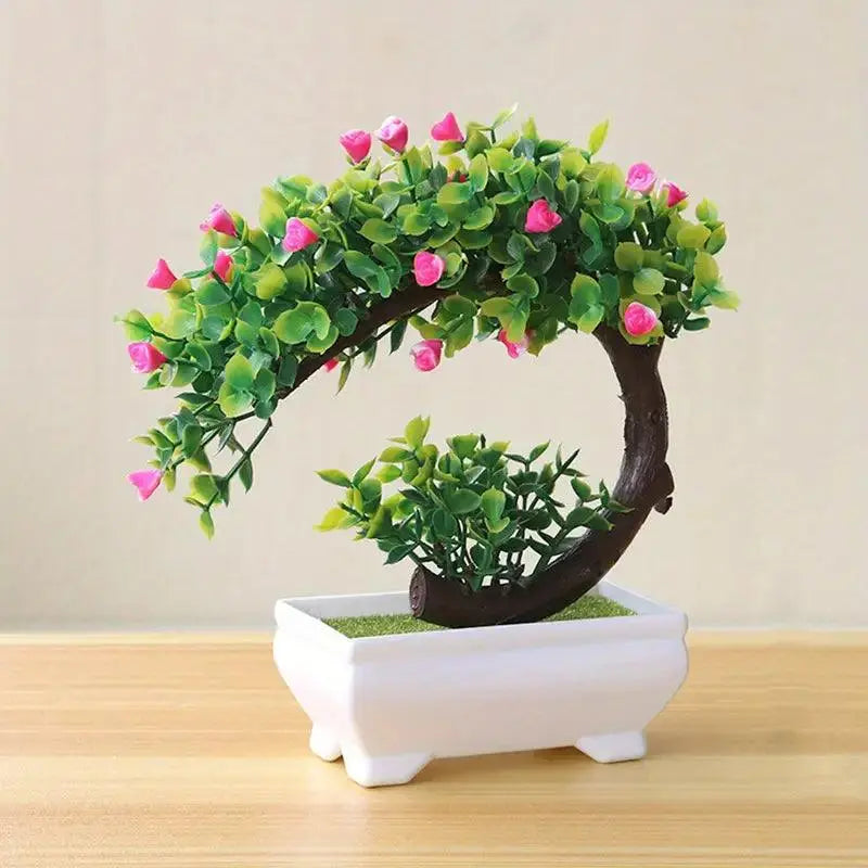 Small Bonsai Tree